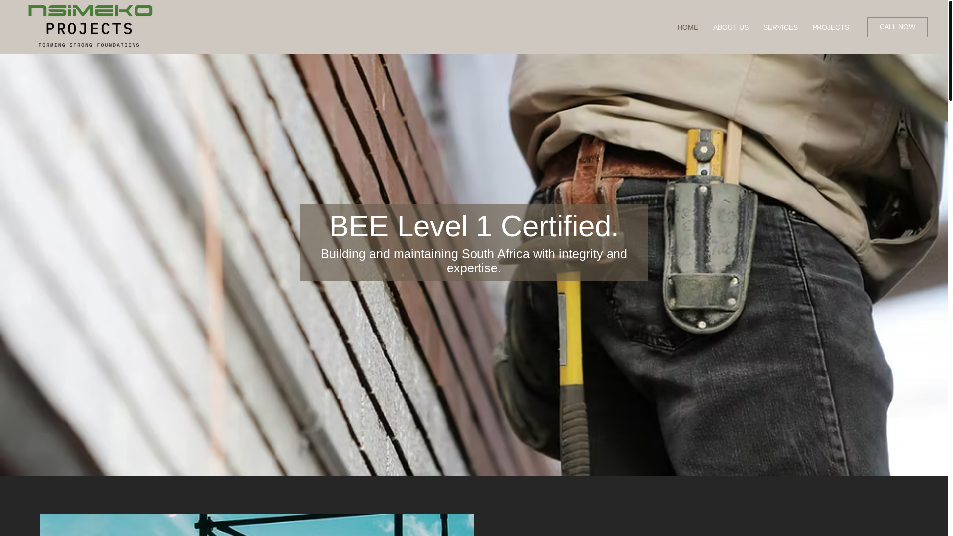 website screenshot of https://nsimekoprojects.com/