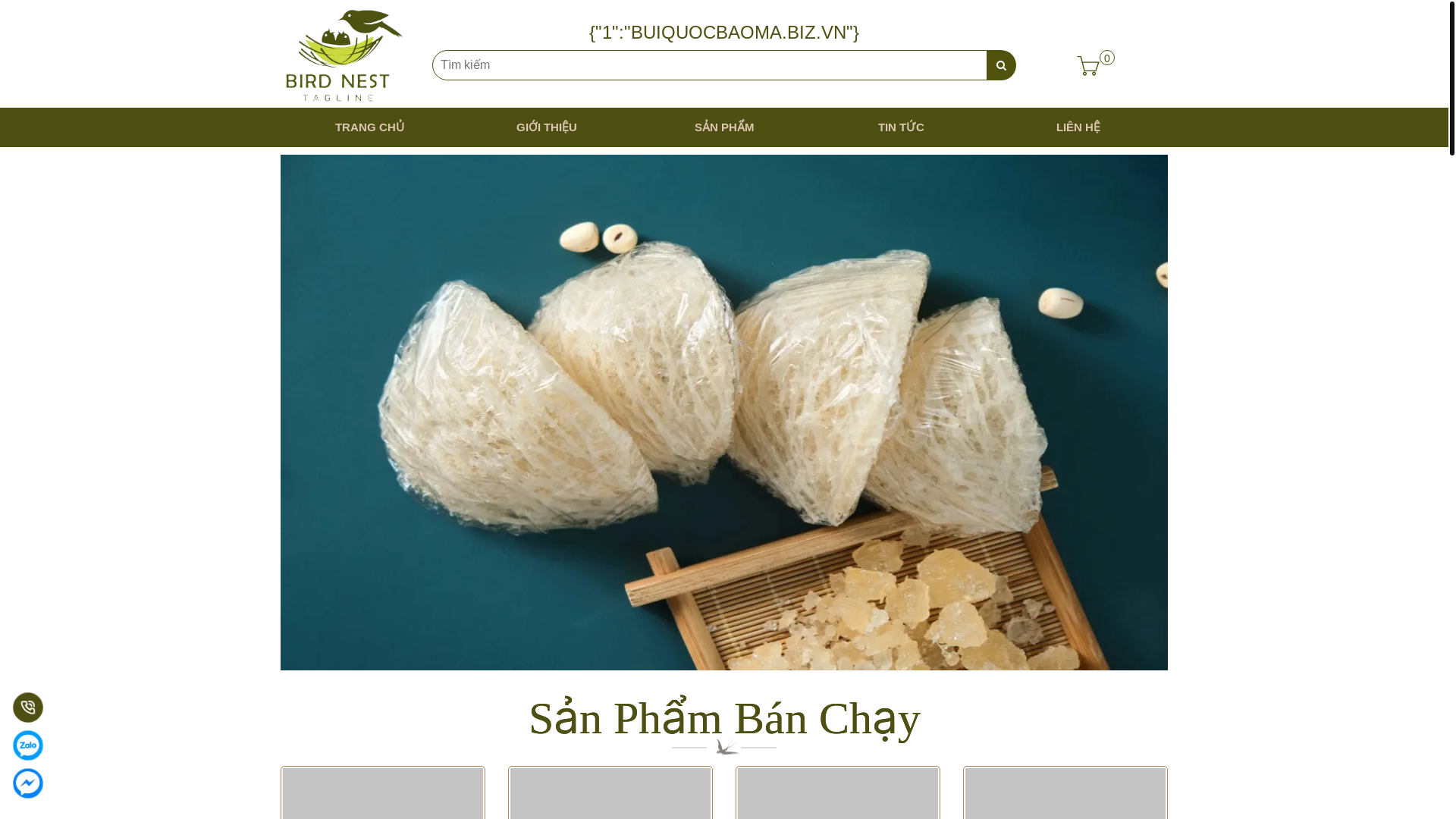 website screenshot of https://buiquocbaoma.biz.vn/