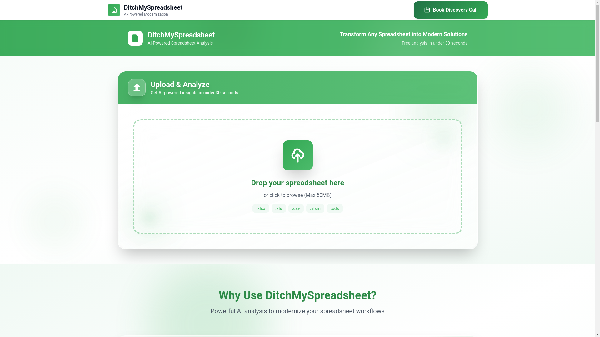 website screenshot of https://ditchmyspreadsheet.com/
