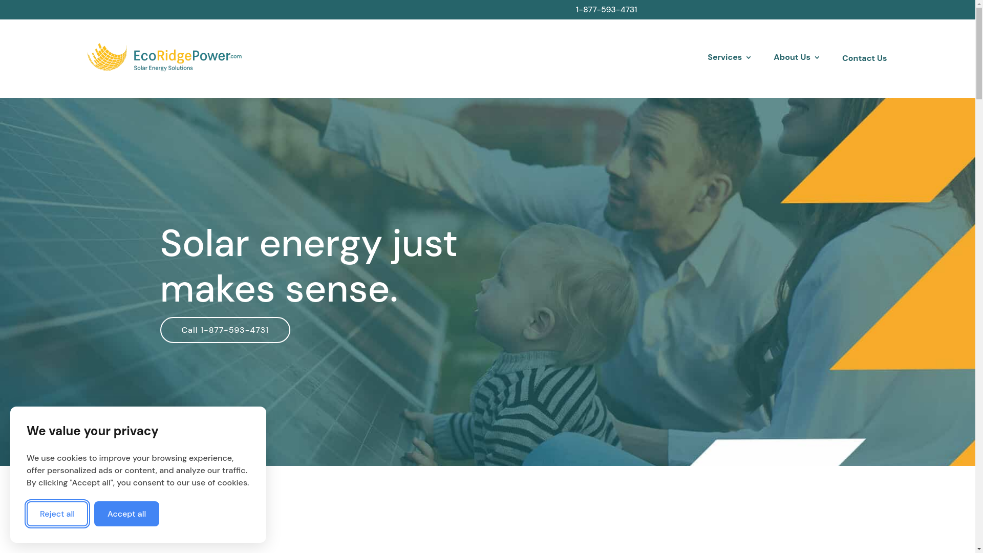 website screenshot of https://ecoridgepower.com/