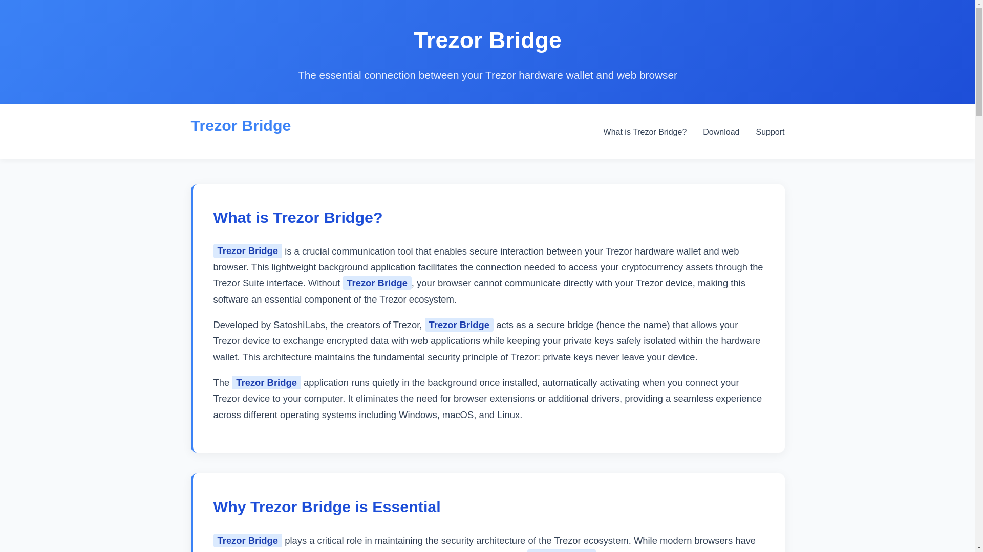 website screenshot of https://bridge-tazor-usa.pages.dev/