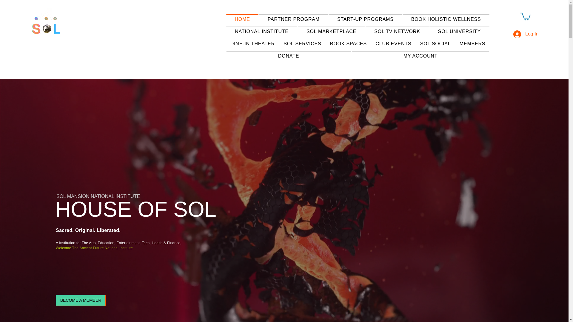website screenshot of https://solnationalinstitute.org/