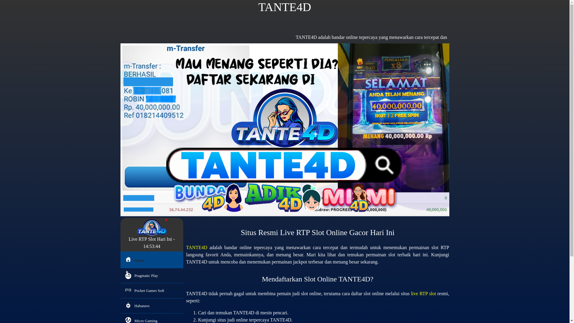 website screenshot of https://rtptante4ds.bond/