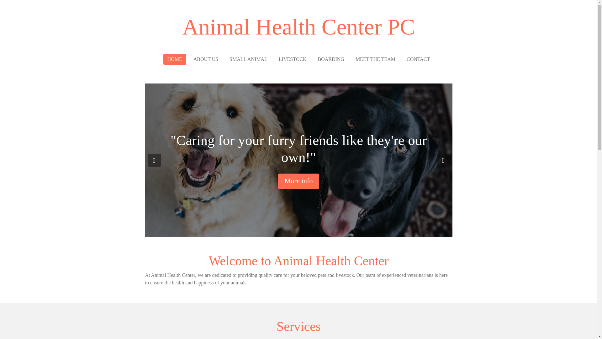 website screenshot of https://sacvetclinic.com/