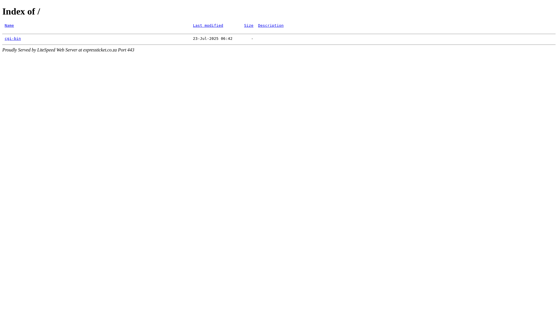 website screenshot of https://expressticket.co.za/