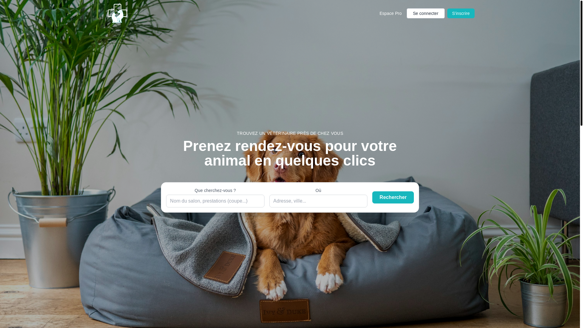 website screenshot of https://vetominute.fr/