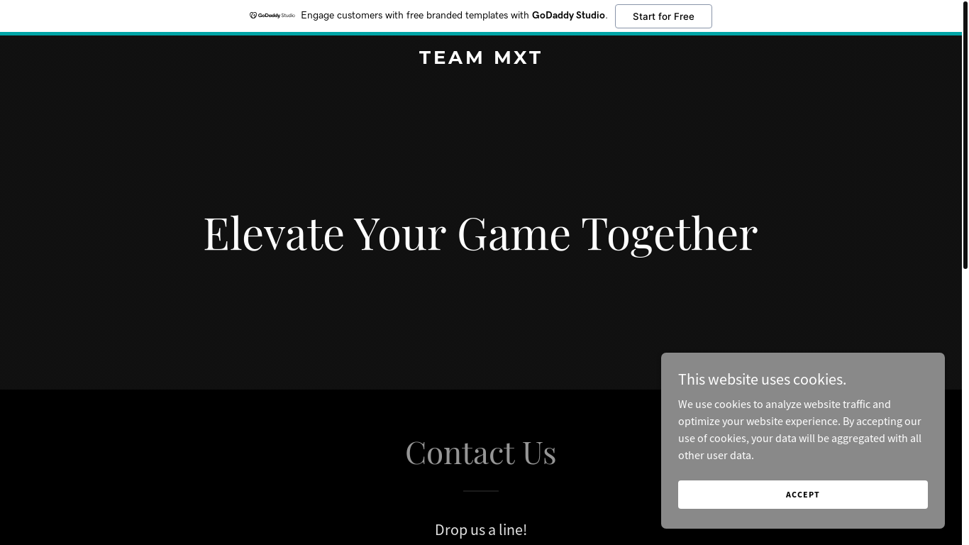 website screenshot of https://teammxt.com/