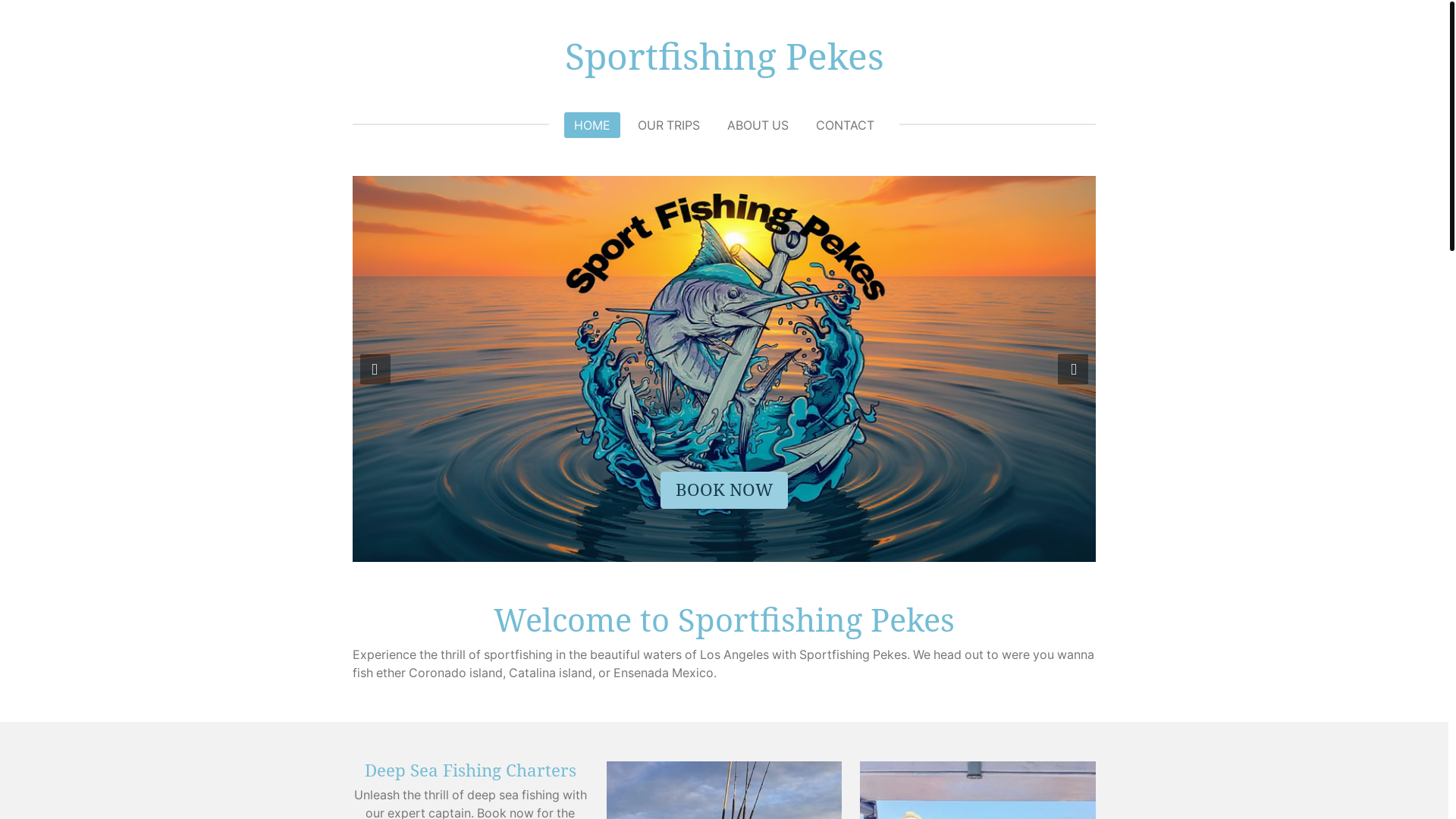 website screenshot of https://sportfishingpekes.com/