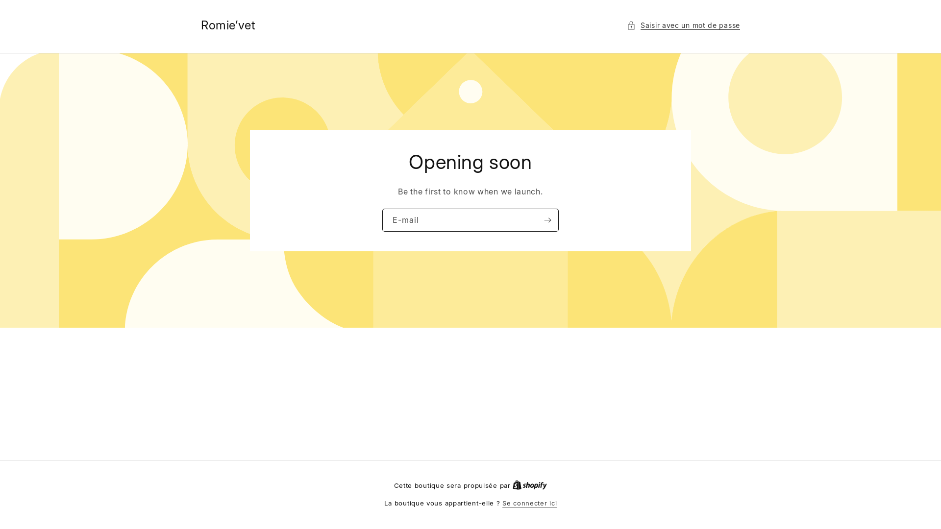 website screenshot of https://romievet.fr/