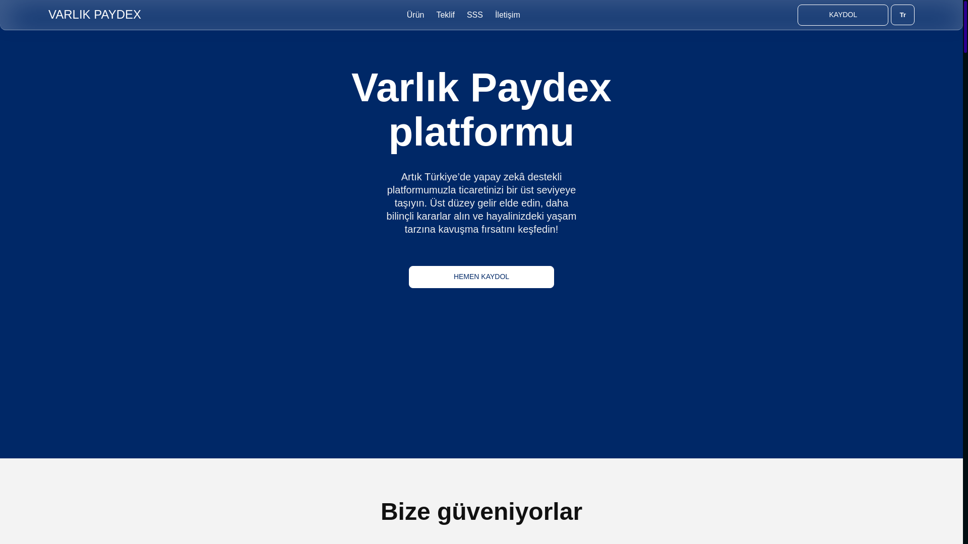 website screenshot of https://varlik-paydex.com/