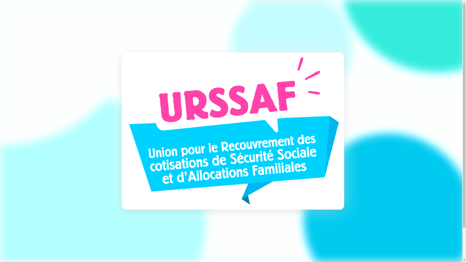 website screenshot of https://documents-urssaf.com/