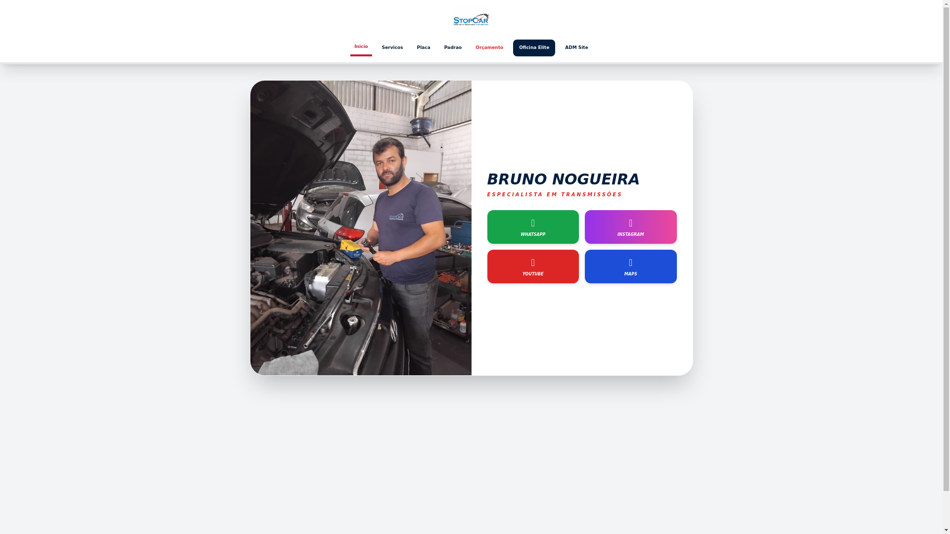 website screenshot of https://stopcar-elite.pages.dev/