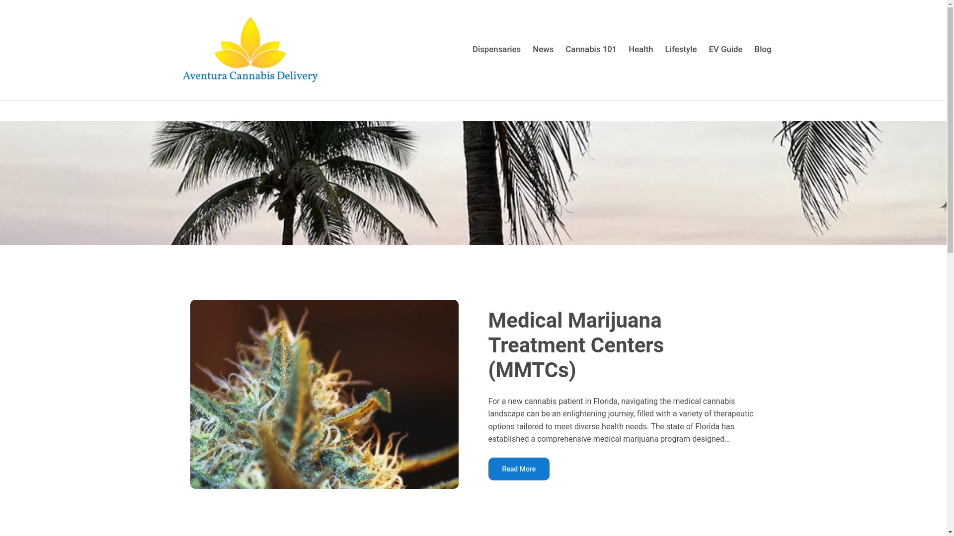 website screenshot of https://aventuracannabisdelivery-com.pages.dev/