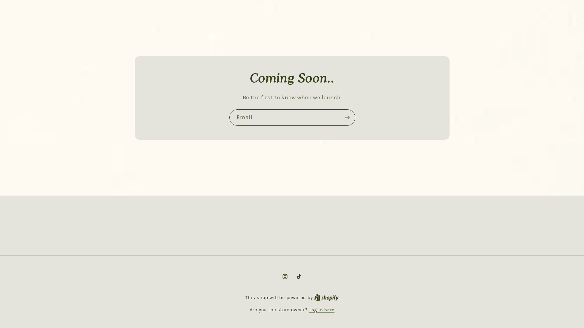 website screenshot of https://seoulflowercottagebakery.com/