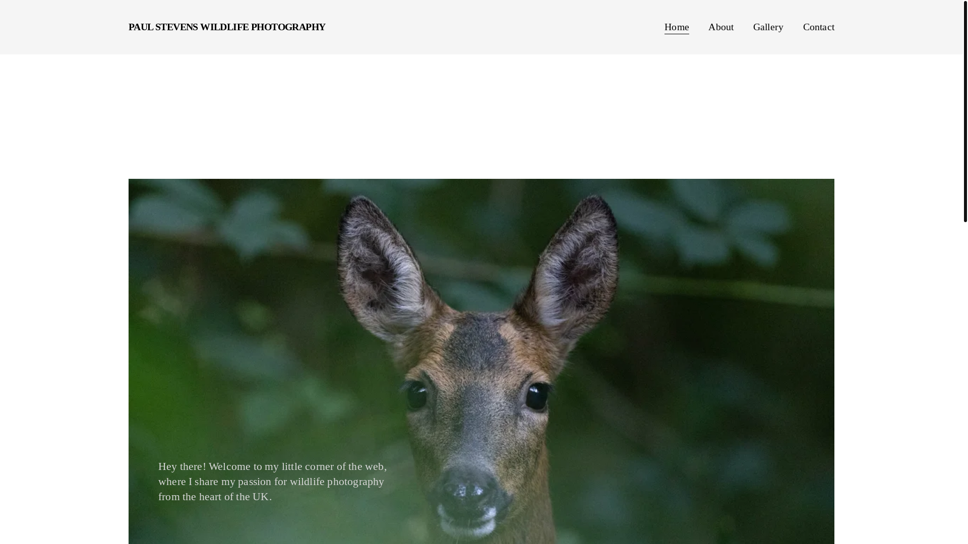 website screenshot of https://paulraystevensphotography.co.uk/
