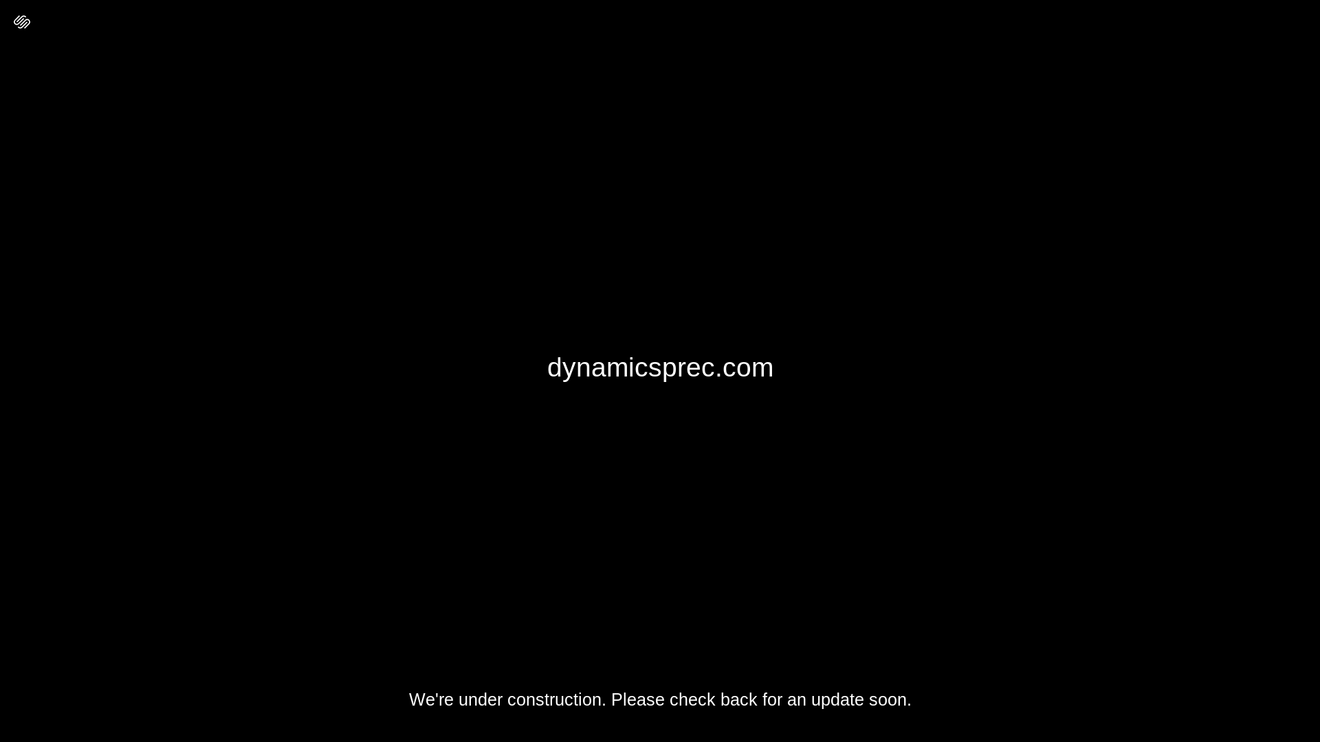 website screenshot of https://dynamicsprec.com/