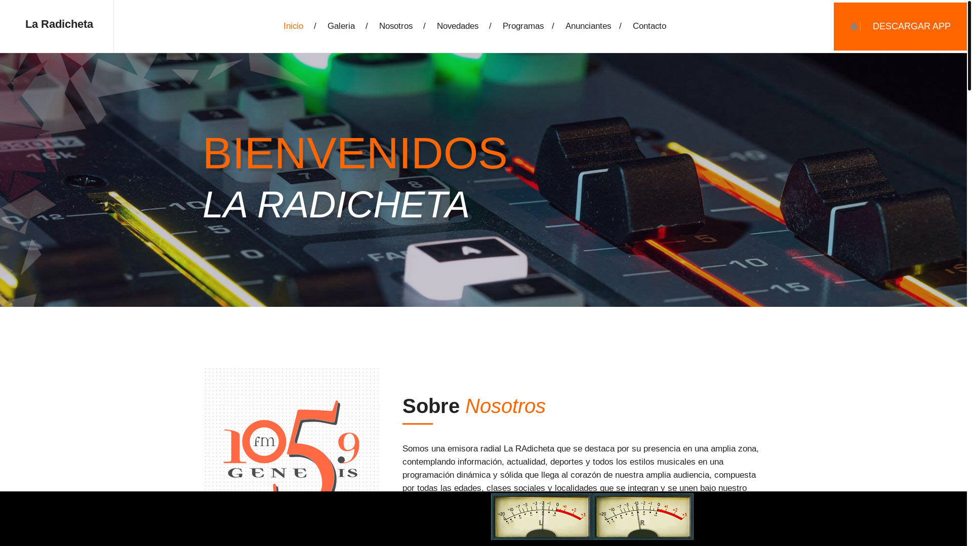 website screenshot of https://laradicheta.com.ar/