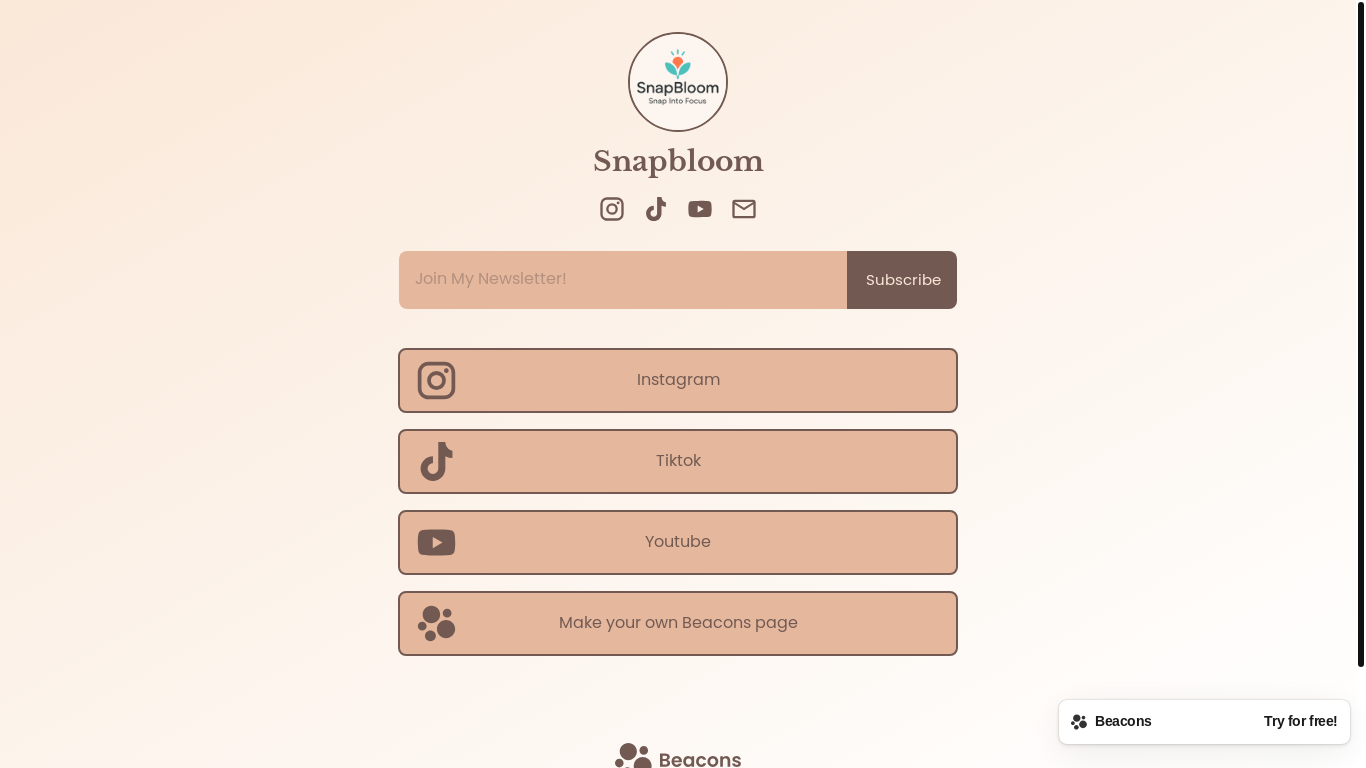 website screenshot of https://snapbloom.store/