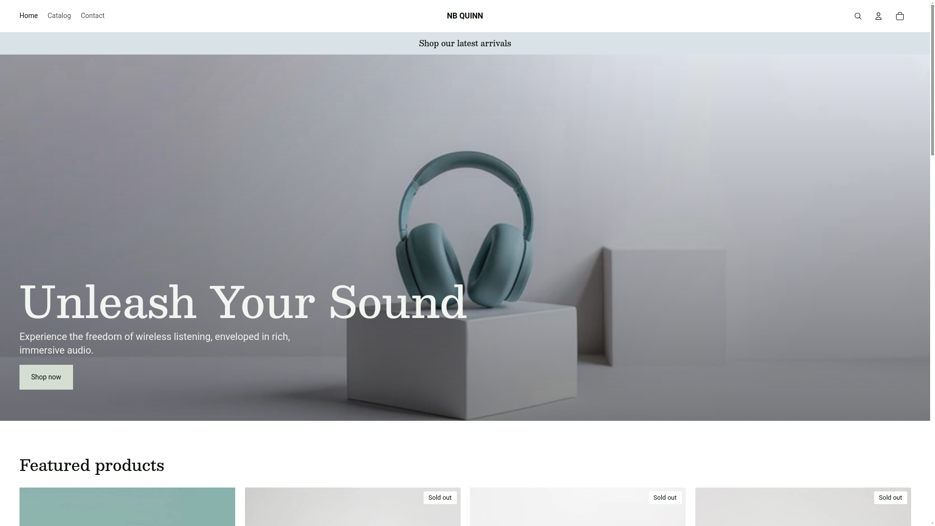 website screenshot of https://nbquinn.store/