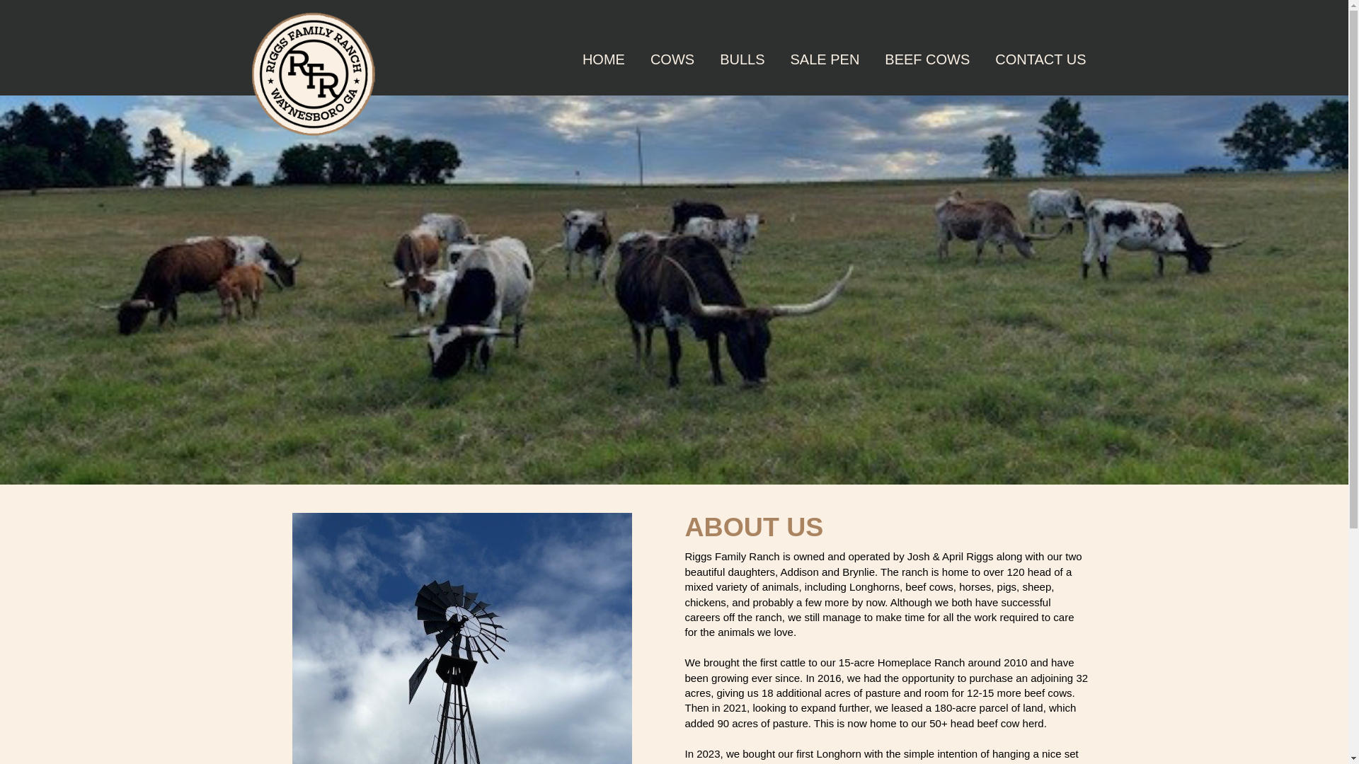 website screenshot of https://riggsfamilyranch.com/
