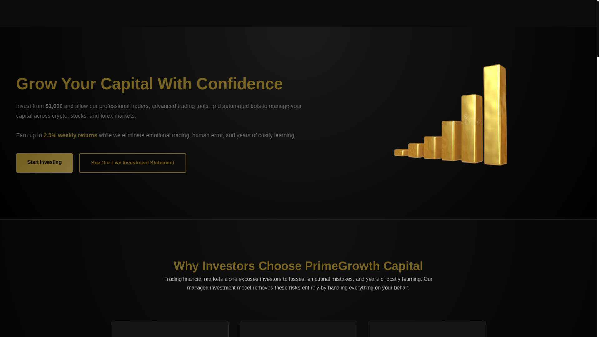 website screenshot of https://prime-growth-capital.pages.dev/