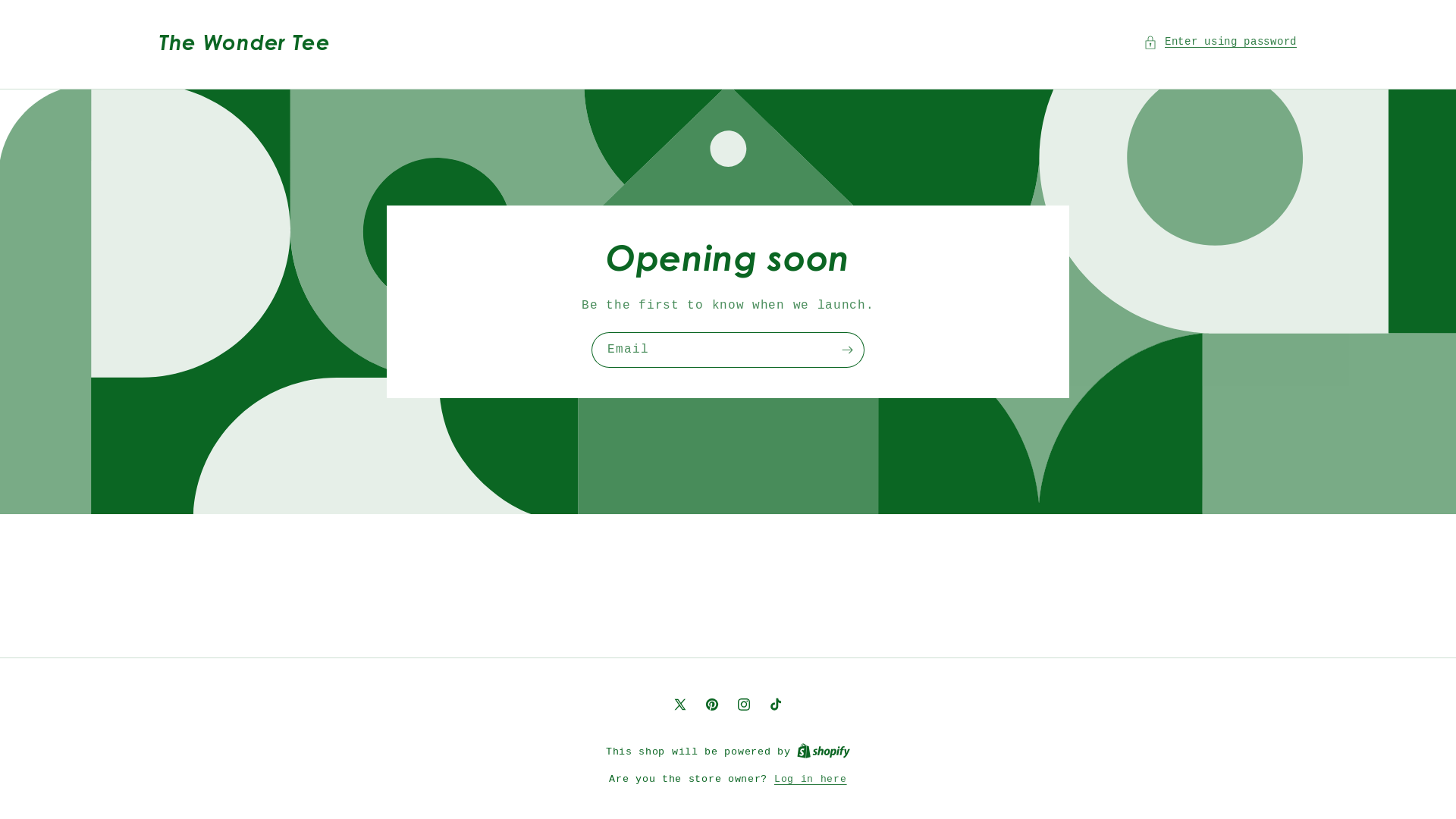website screenshot of https://thewondertee.com/