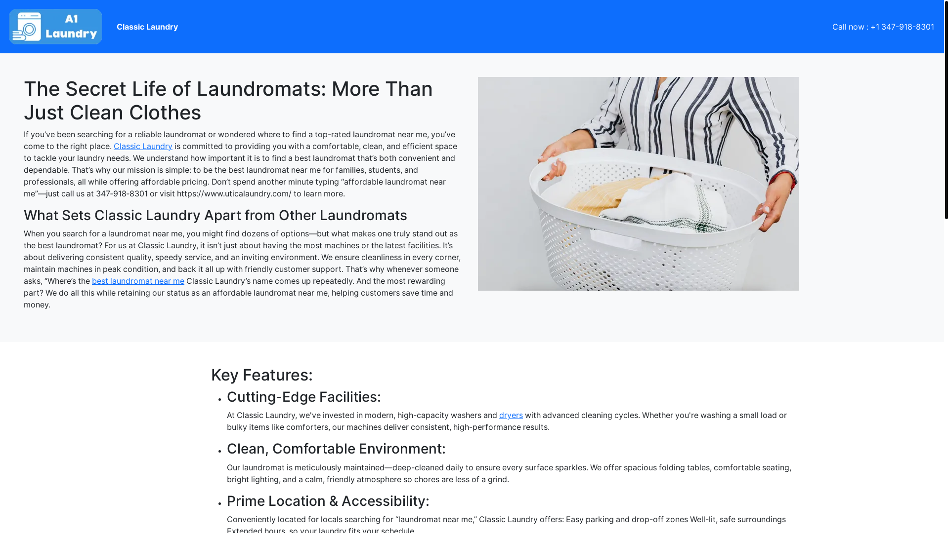 website screenshot of https://thesecretlifeoflaundromatsmorethanjustcleanclothes.pages.dev/