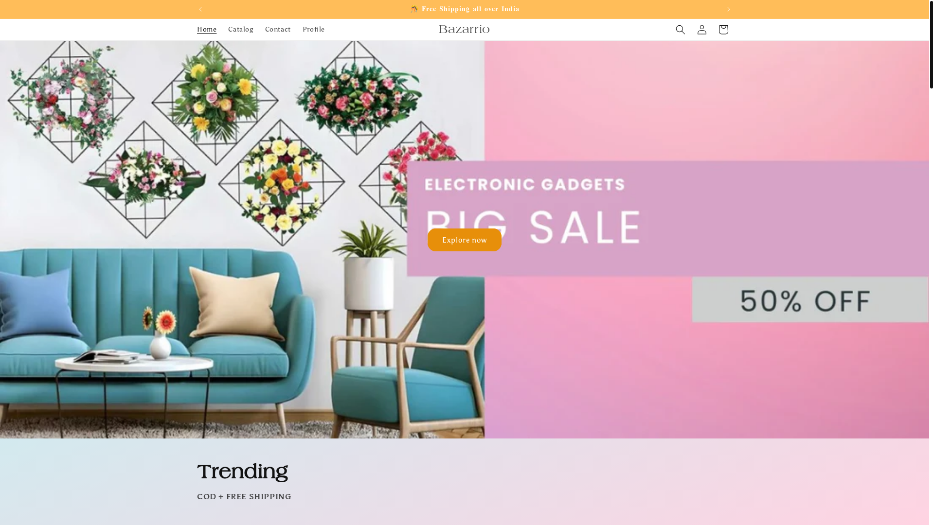 website screenshot of https://bazarriokart.store/