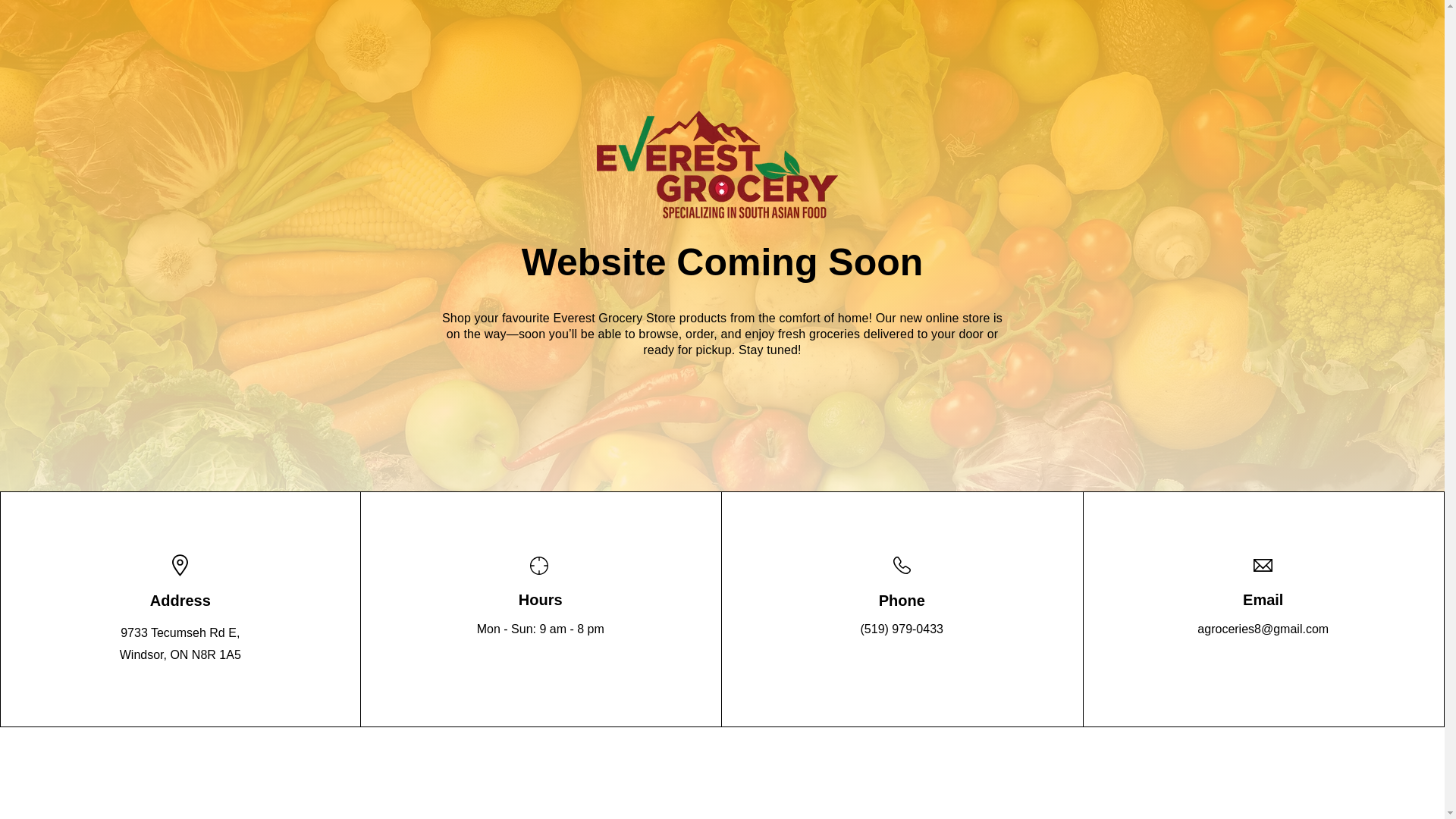 website screenshot of https://everestgrocery.ca/