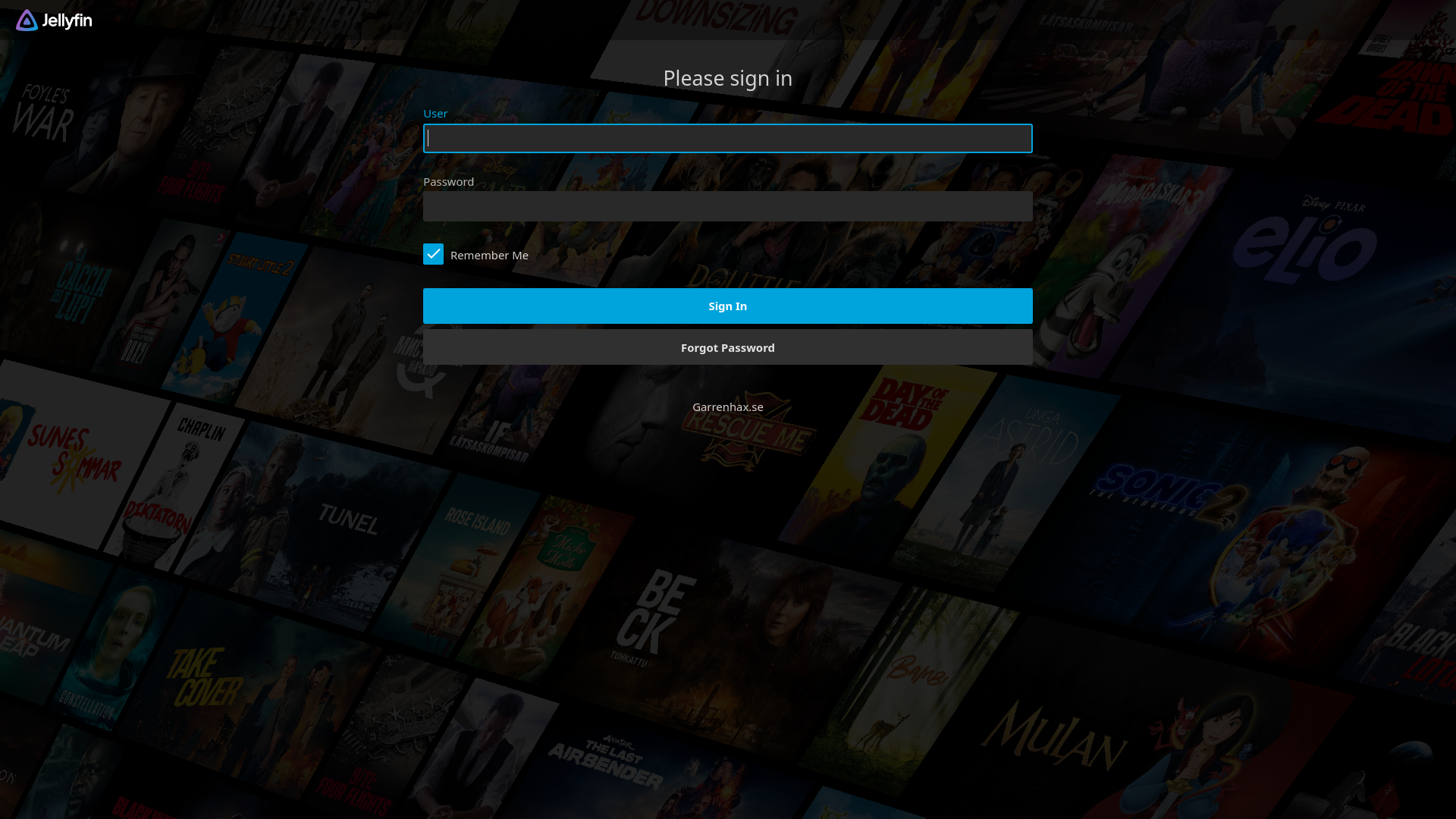 website screenshot of https://jellyfin.garrenhax.se/
