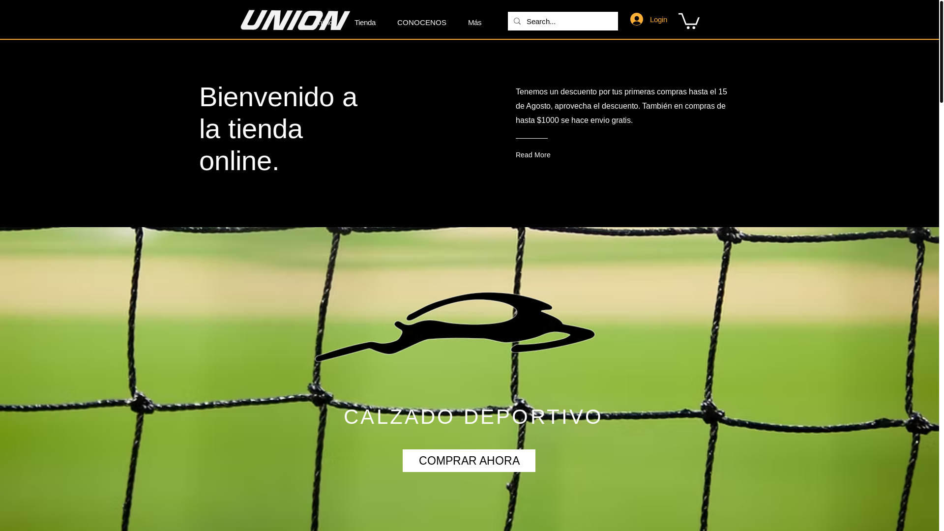 website screenshot of https://tenisunion.shop/