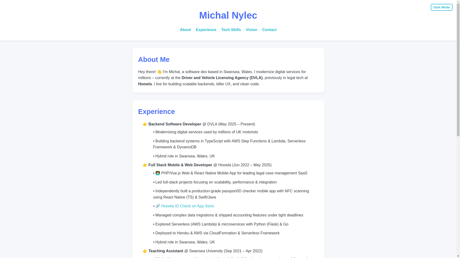 website screenshot of https://nylecm.pages.dev/