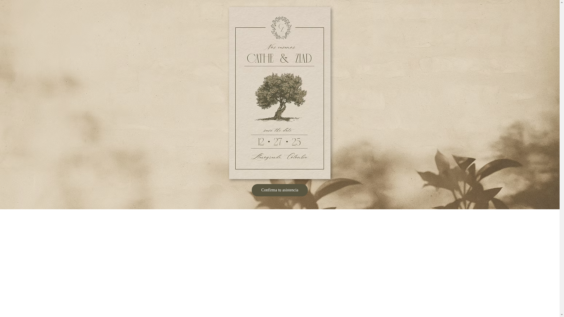 website screenshot of https://catheyziad.com/