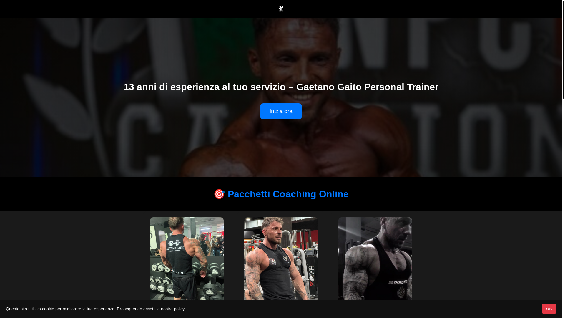 website screenshot of https://coachgaito.it/
