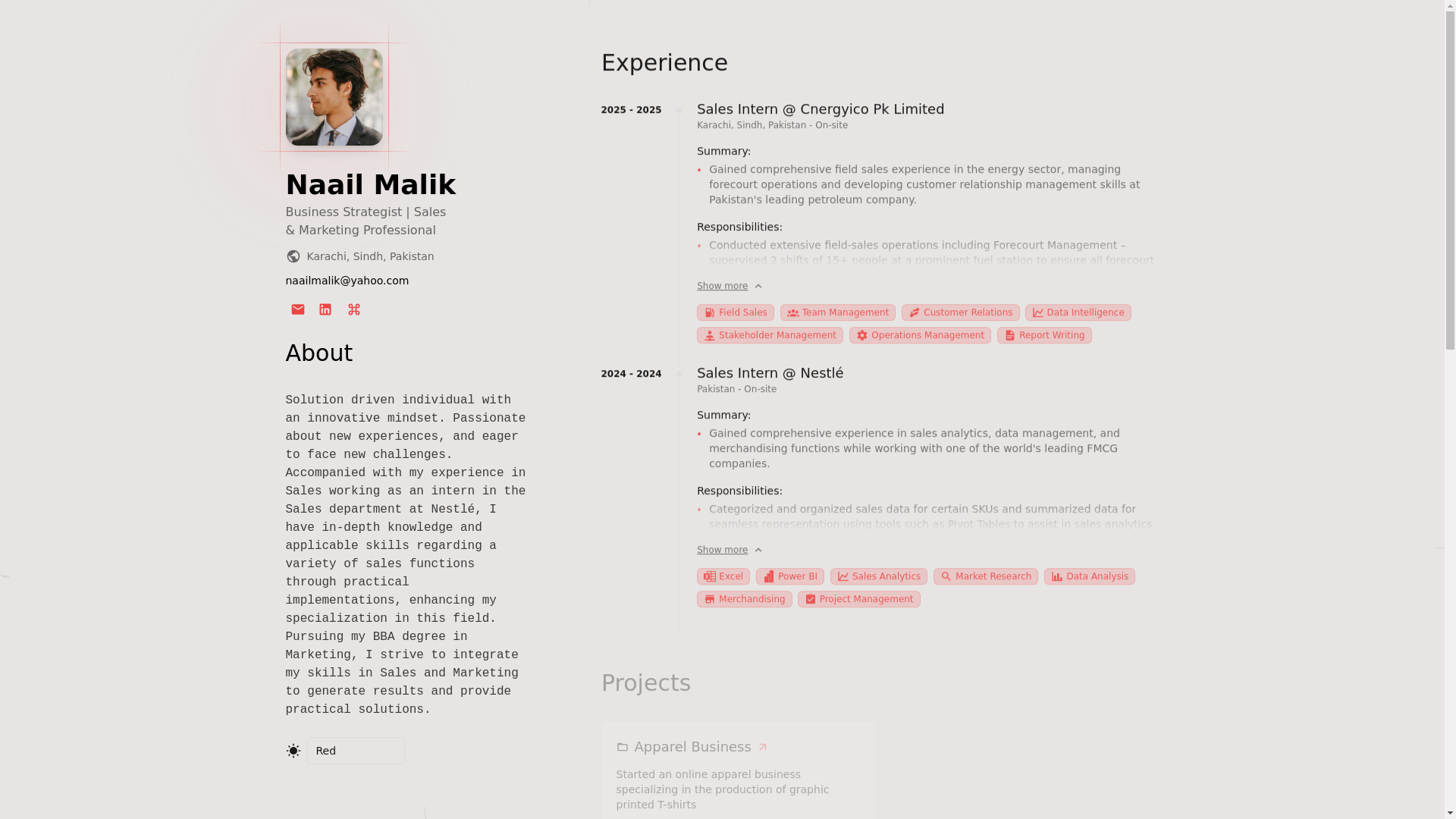 website screenshot of https://naail.pages.dev/