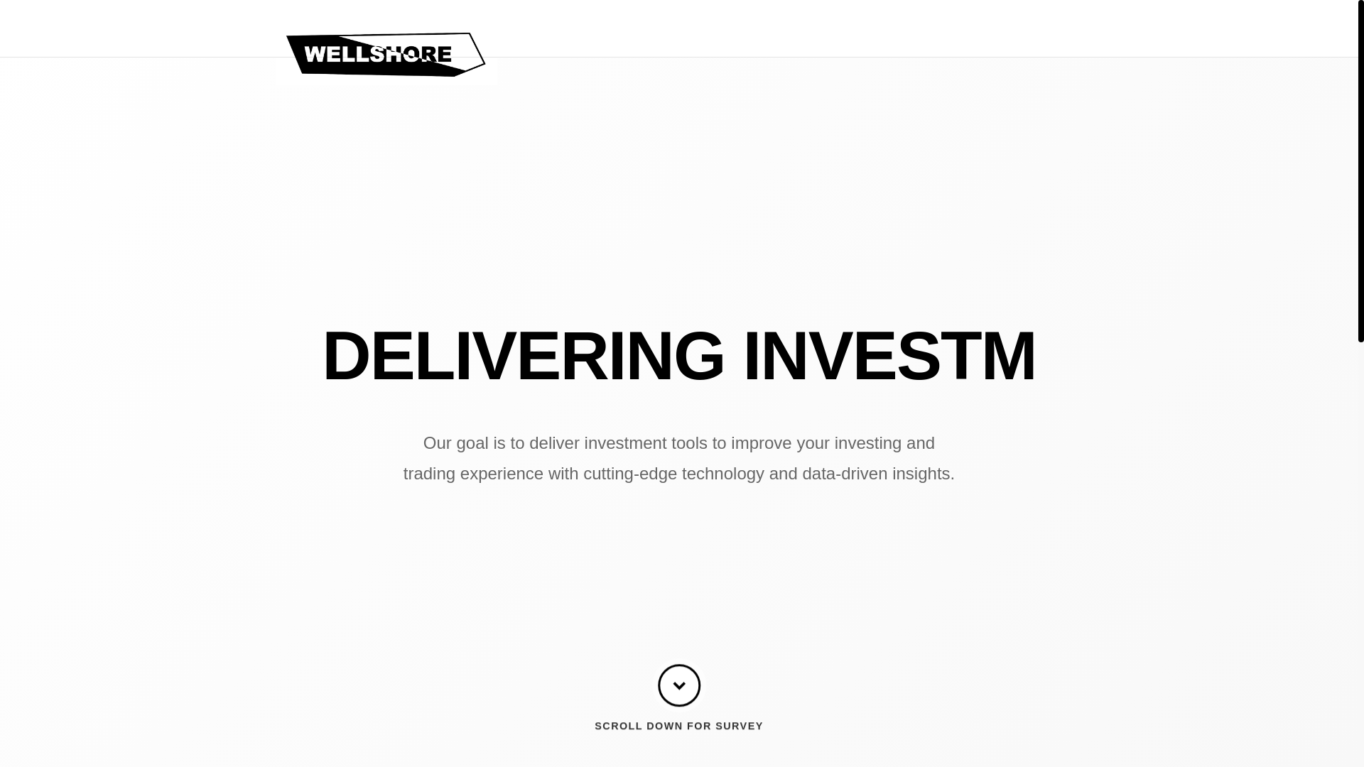 website screenshot of https://thewellshorecompany.xyz/