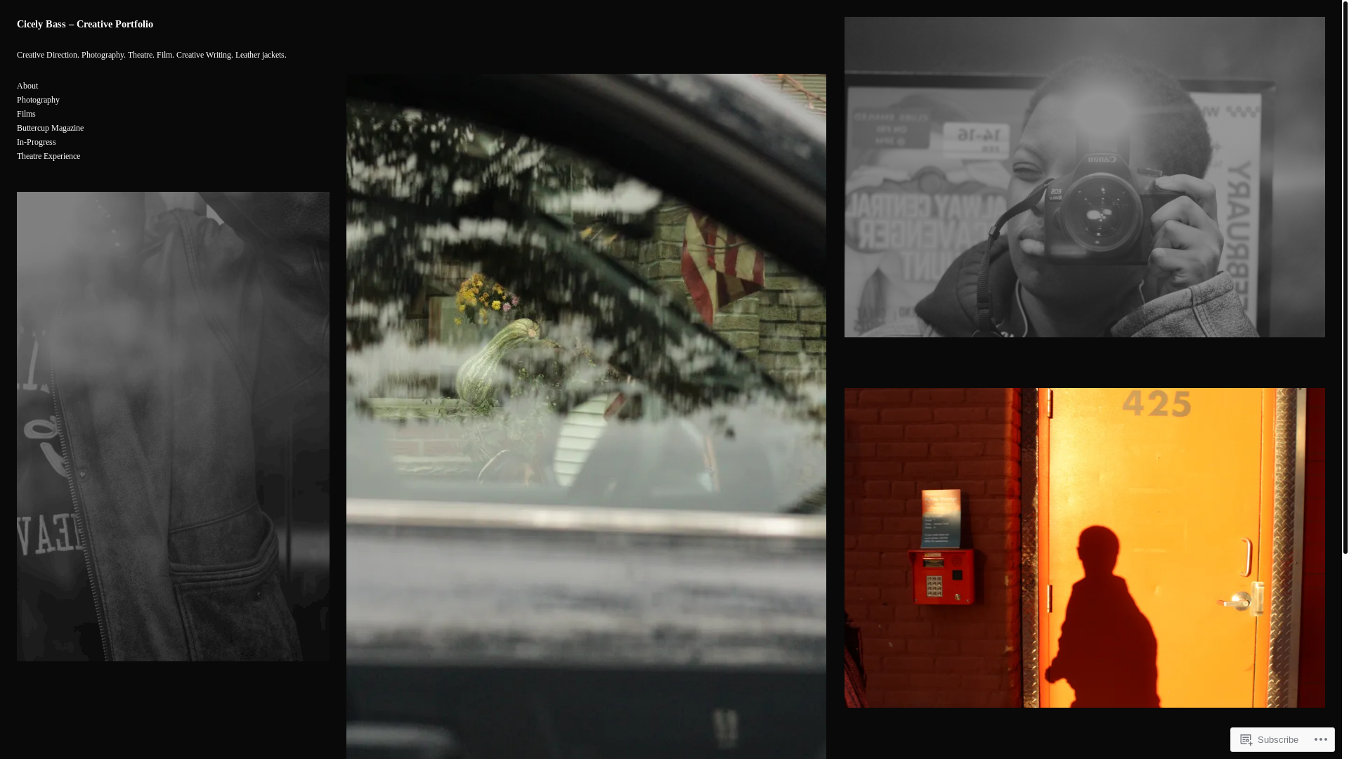 website screenshot of https://cicelybassportfolio.com/