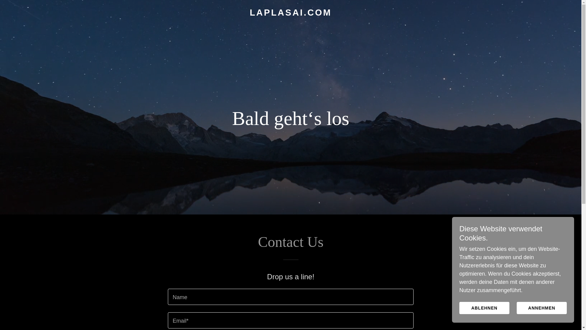 website screenshot of https://laplasai.com/