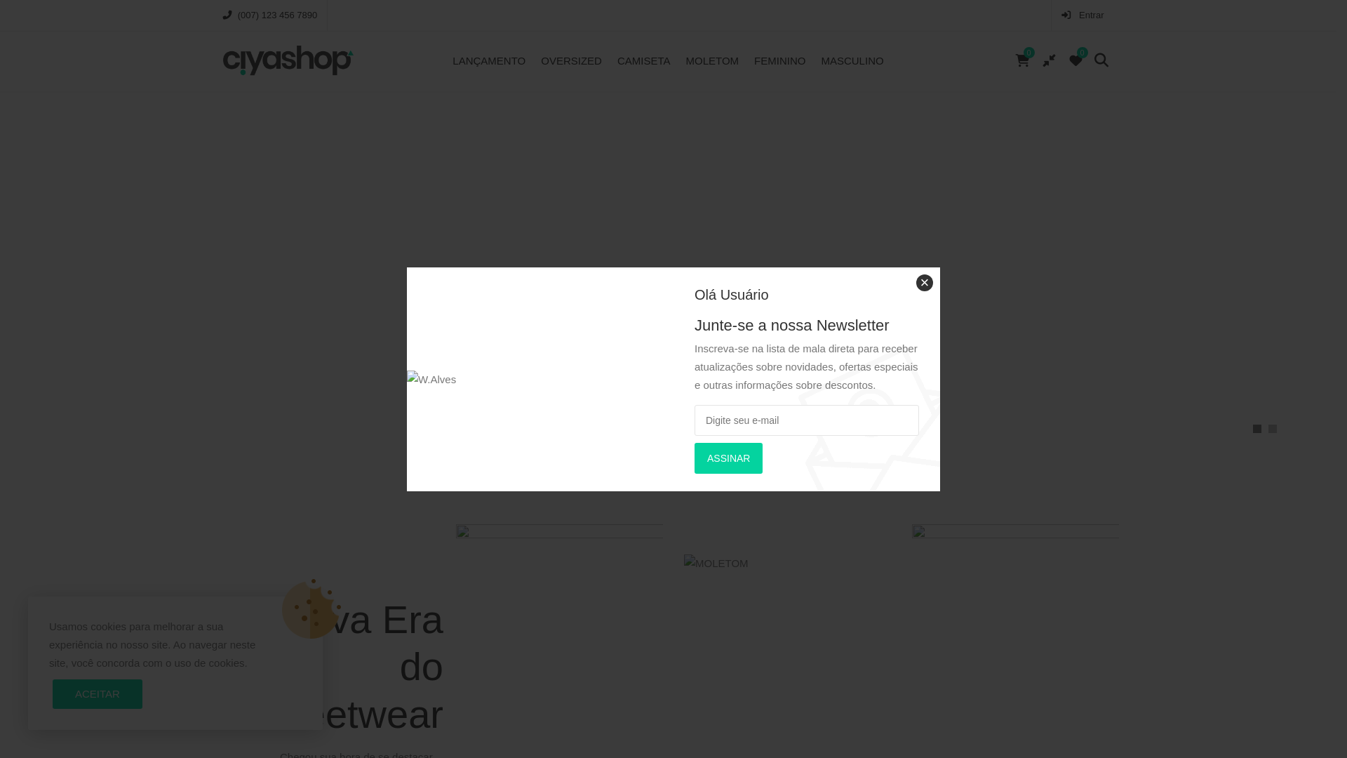 website screenshot of https://dtffranca.com.br/