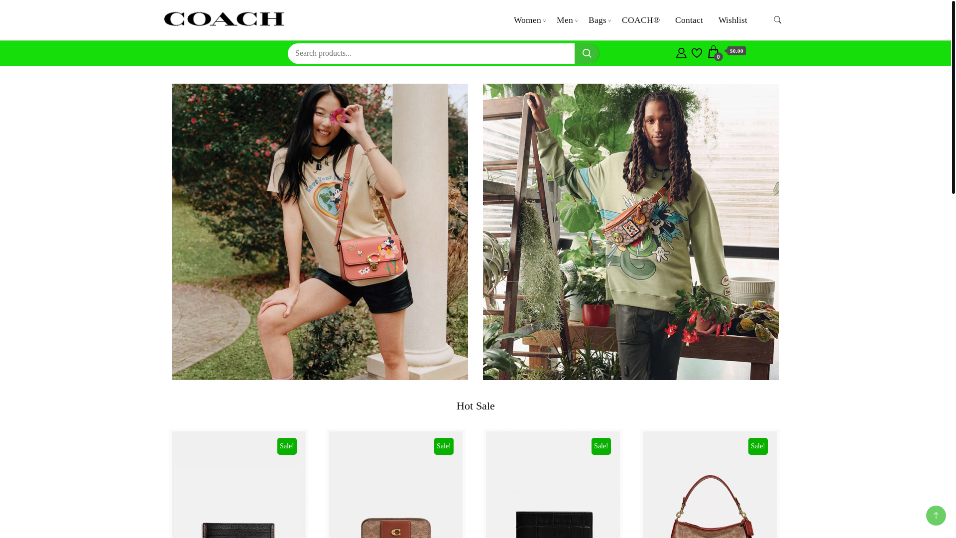 website screenshot of https://www.brigittaknoll.shop/