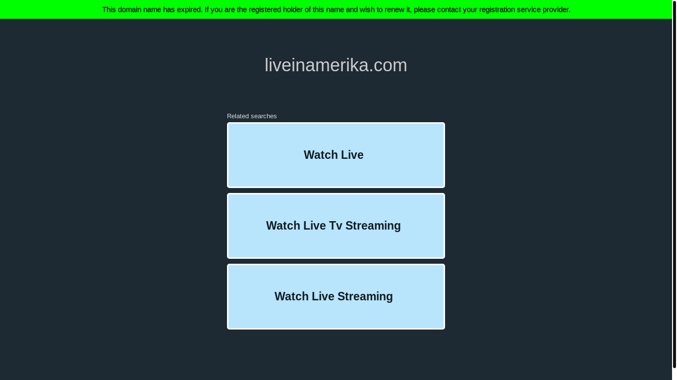 website screenshot of https://liveinamerika.com/