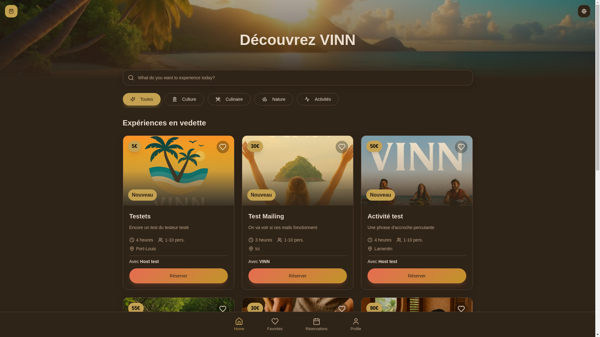 website screenshot of https://vinn.fr/