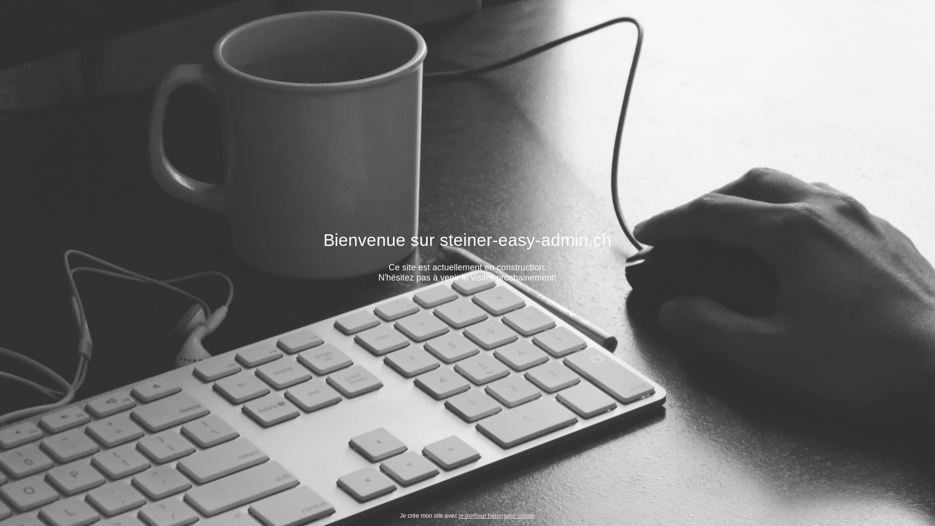 website screenshot of https://steiner-easy-admin.ch/