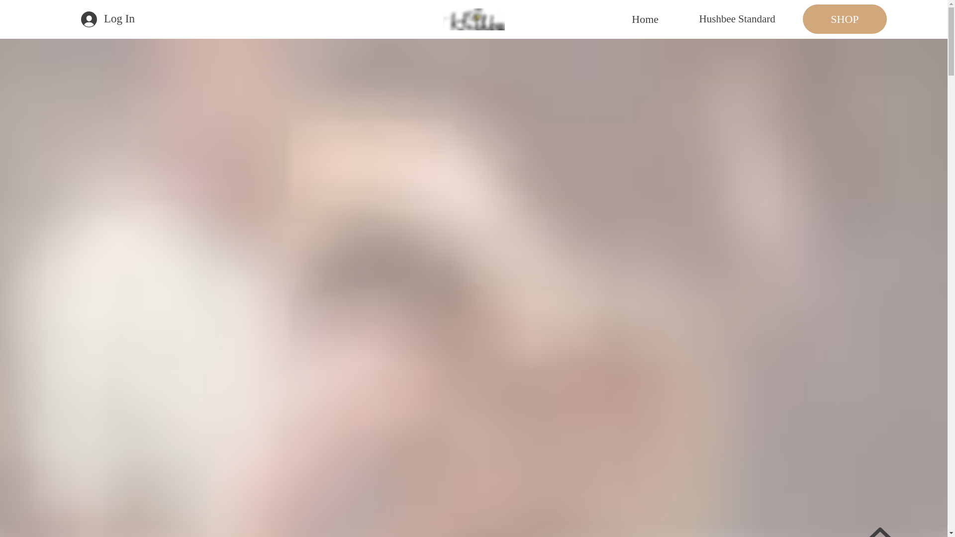 website screenshot of https://hushbeefamily.com/