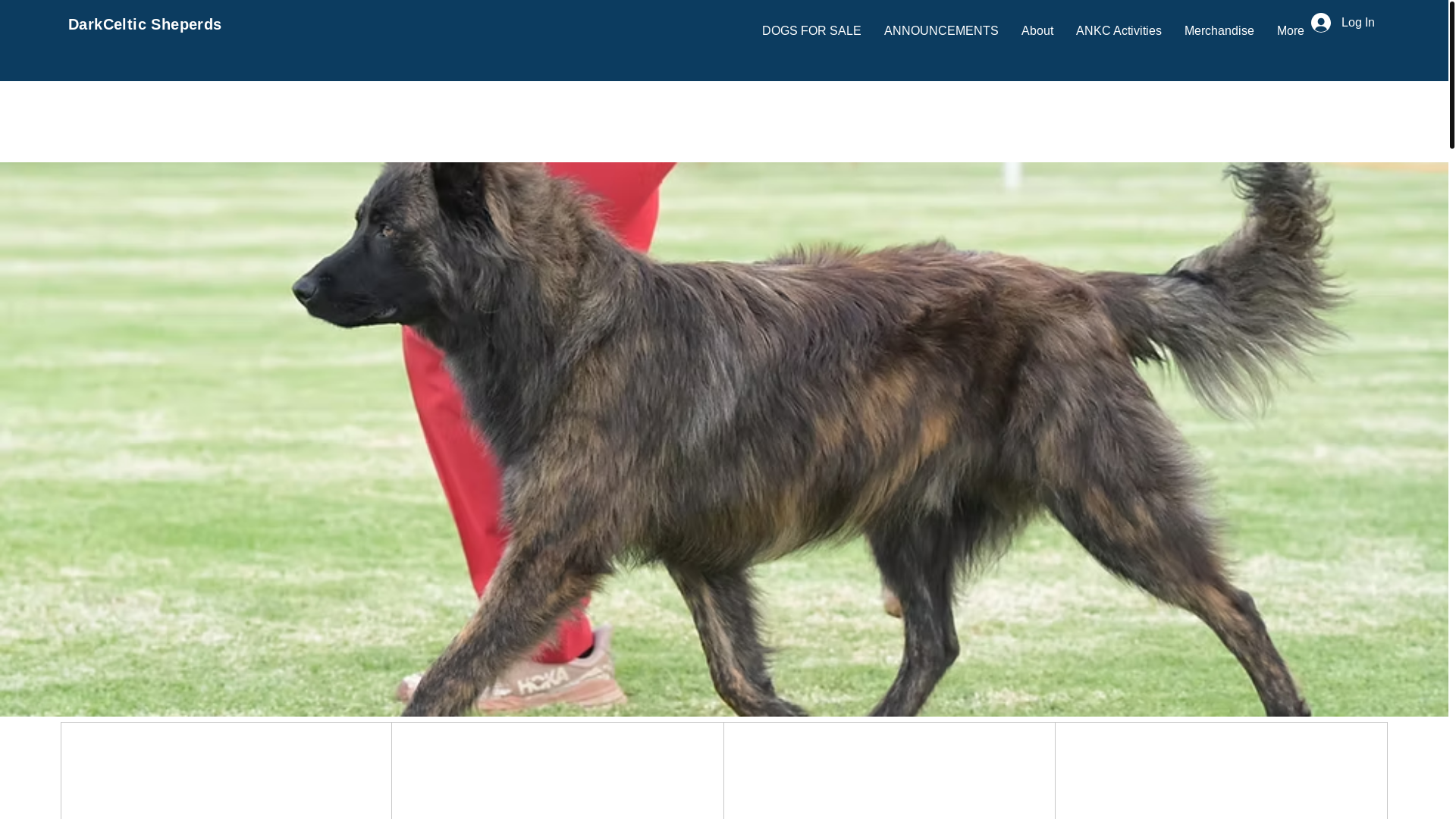website screenshot of https://darkcelticdutchshepherds.com/