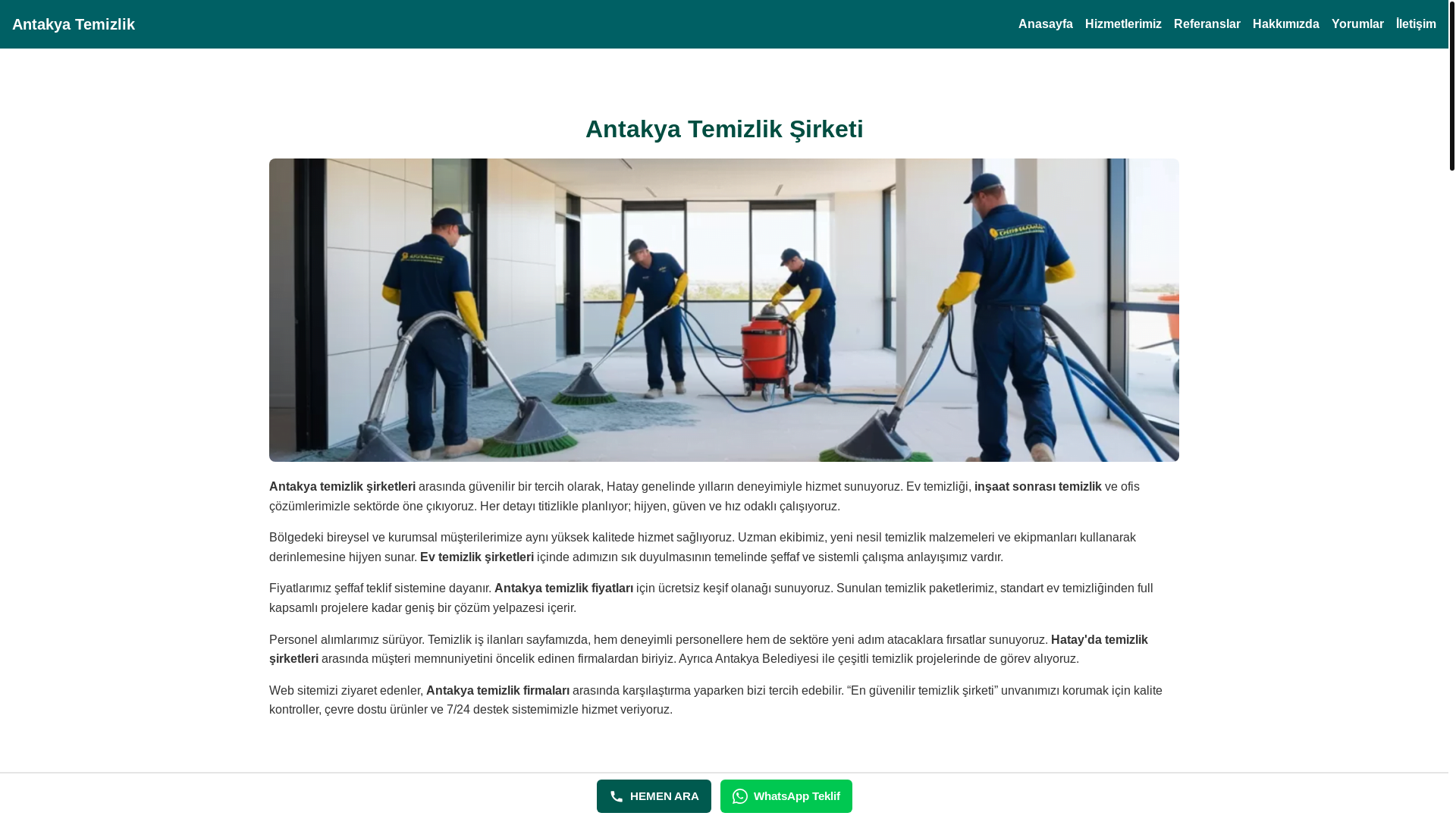 website screenshot of https://antakyatemizlikhizmeti.com/