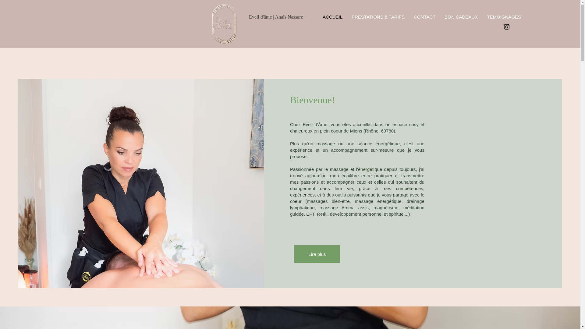 website screenshot of https://eveildame.com/