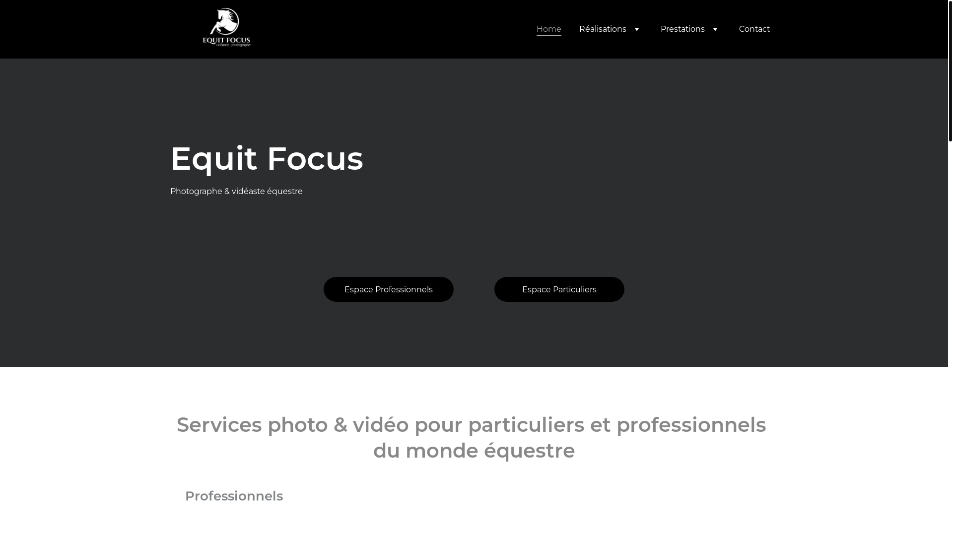 website screenshot of https://equitfocus.fr/