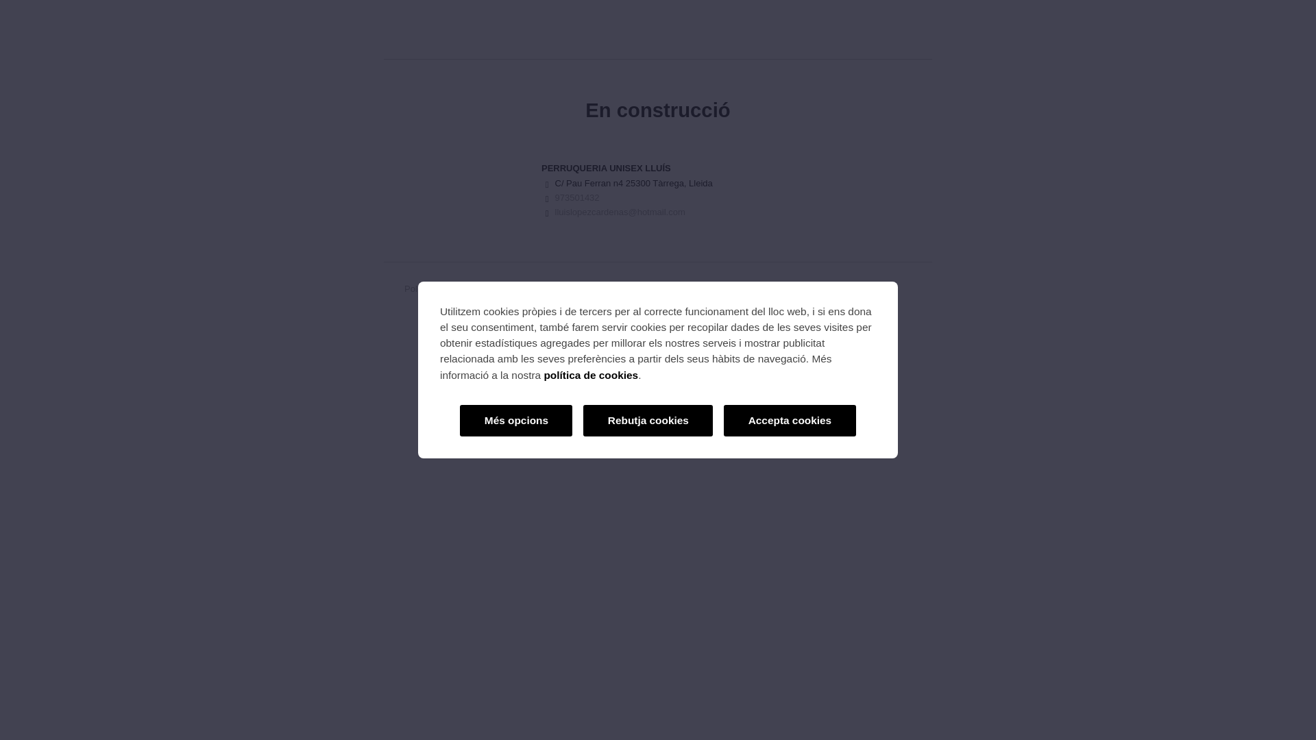 website screenshot of https://perruqueriaunisexlluis.cat/