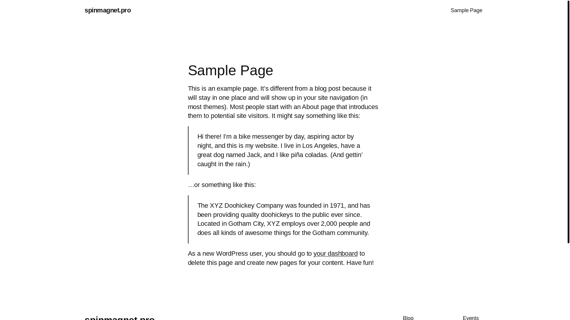 website screenshot of https://spinmagnet.pro/